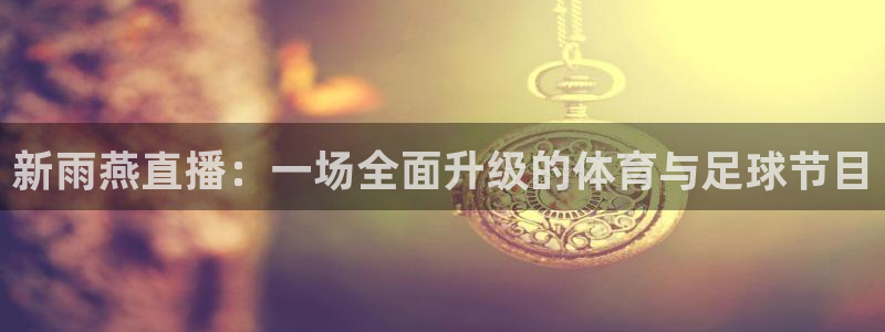 新雨燕直播：一场全面升级的体育与足球节目