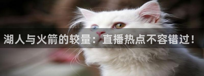 湖人与火箭的较量：直播热点不容错过！